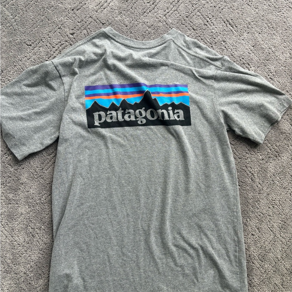 Men’s Patagonia tshirt
